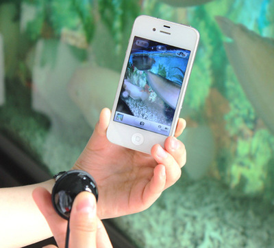 蓝牙自拍器 小巧球型设计，无线快门遥控，厂家直销尽享便捷